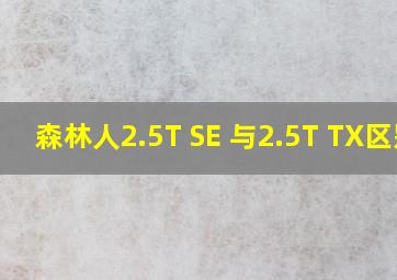 森林人2.5T SE 与2.5T TX区别